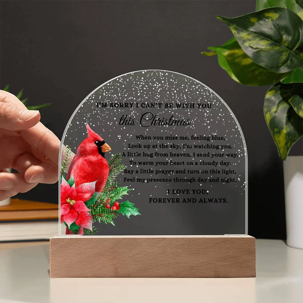 Red Cardinal I Can't Be With You This Christmas Poem Condolence LED Nightlight Acrylic Desktop Art